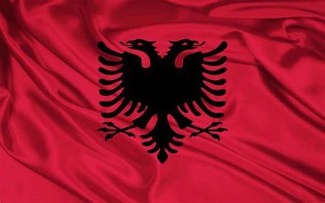 Albania Unisex Oversized T-Shirts